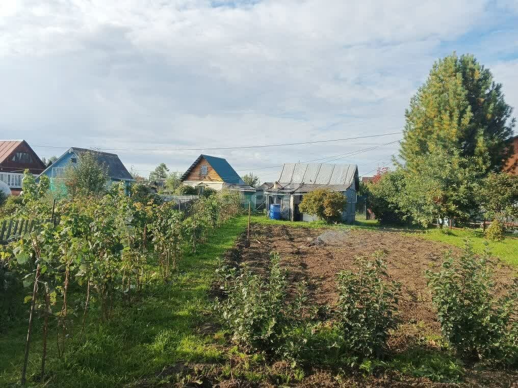 Дом 1-комн. 16 м² в Томск — фото 6 из 13