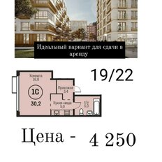 Квартира 30 м², 1-комнатная - изображение 1