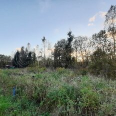 6 соток, участок - изображение 2