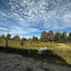 12 соток, участок - изображение 1