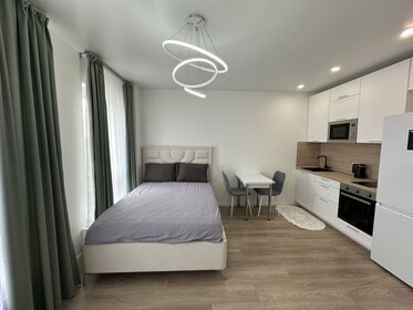 30 м², 1-комнатная квартира 50 000 ₽ в месяц - изображение 42
