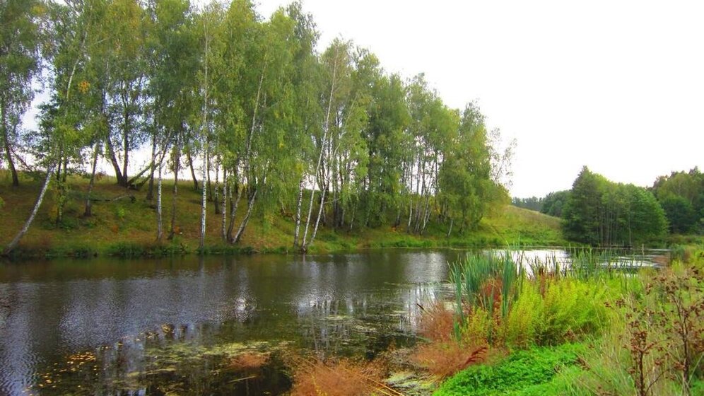 25,1 м², квартира-студия 5 153 700 ₽ - изображение 14