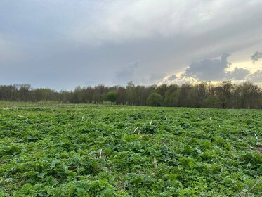 Снять однокомнатную квартиру до 20 тысяч рублей на улице им. Героя Яцкова И.В. в Краснодаре - изображение 36