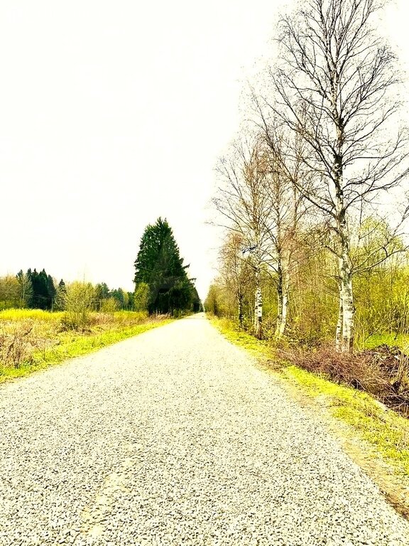 Дом в Рыбинск, проспект Революции, 38 (58 м²)