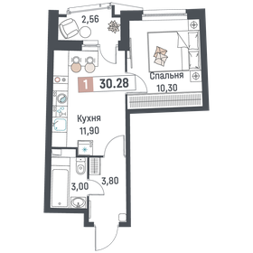 Квартира 30,3 м², 1-комнатная - изображение 1