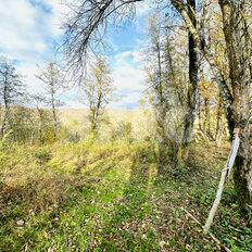 5,8 сотки, участок - изображение 5