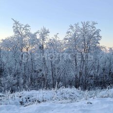 20 соток, участок - изображение 4