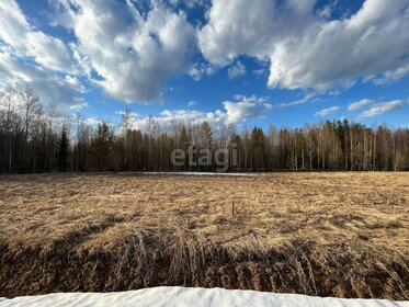 8 соток, участок 1 900 000 ₽ - изображение 33