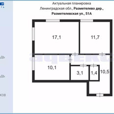 Квартира 54 м², 2-комнатная - изображение 3