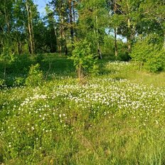 1 га, участок коммерческого назначения - изображение 3