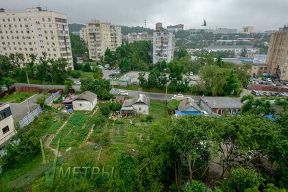 Купить квартиру-студию до 4 млн рублей у метро Академическая (красная ветка) в Санкт-Петербурге и ЛО - изображение 12