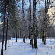 8 соток, участок - изображение 2