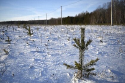 276 соток, участок коммерческого назначения 60 000 000 ₽ - изображение 48