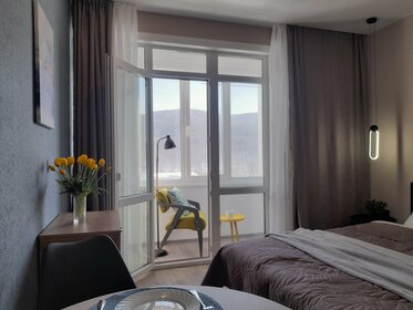 25 м², квартира-студия 2 500 ₽ в сутки - изображение 30