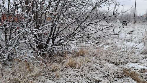 Купить квартиру рядом с водоёмом у станции Берёзовая Роща в Воронеже - изображение 7