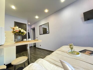 21 м², квартира-студия 1 690 ₽ в сутки - изображение 50