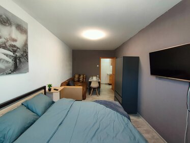 33 м², 1-комнатная квартира 1 500 ₽ в сутки - изображение 55
