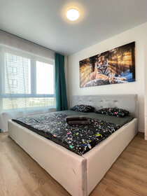 38 м², 1-комнатная квартира 4 300 ₽ в сутки - изображение 90