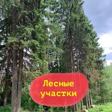 10 соток, участок - изображение 4