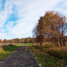 8 соток, участок - изображение 4