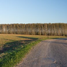 11 соток, участок - изображение 1