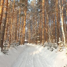 Емельяновский Район Красноярского Края Фото