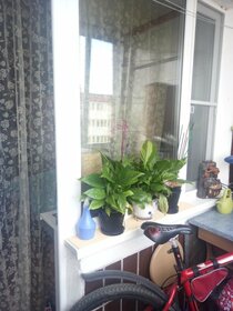 Купить однокомнатную квартиру с высокими потолками у метро Улица Дыбенко (оранжевая ветка) в Санкт-Петербурге и ЛО - изображение 8