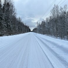 15 соток, участок - изображение 3