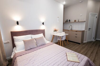 30 м², квартира-студия 2 500 ₽ в сутки - изображение 25