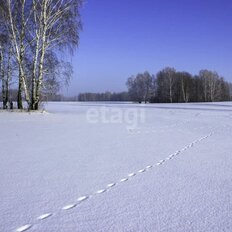 44 сотки, участок - изображение 3