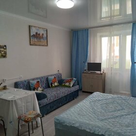 27 м², квартира-студия 1 600 ₽ в сутки - изображение 49