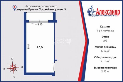 17,5 м², комната - изображение 4