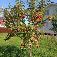 дом + 9 соток, участок - изображение 1