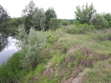 Купить коммерческую недвижимость в торговом центре в Ижевске - изображение 5