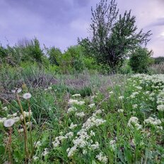 5 соток, участок - изображение 1