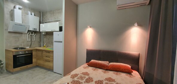 30 м², квартира-студия 3 300 ₽ в сутки - изображение 100