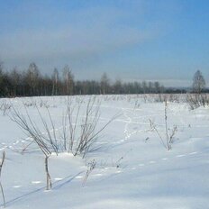 15 соток, участок - изображение 5