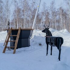 дом + 10 соток, участок - изображение 5