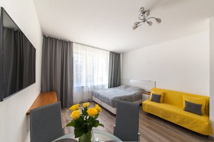 27 м², квартира-студия 1 800 ₽ в сутки - изображение 7