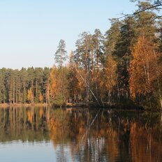 дом + 7 соток, участок - изображение 1