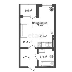 Квартира 24,3 м², 1-комнатная - изображение 1