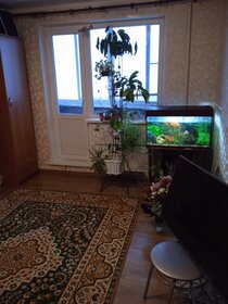 Снять квартиру с животными в Калужской области - изображение 41