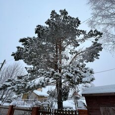 дом + 20 соток, участок - изображение 3