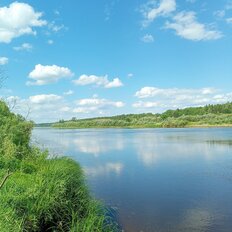 19 соток, участок - изображение 3