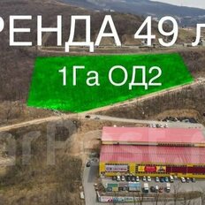 1 га, участок - изображение 4