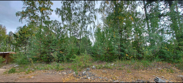 Купить трехкомнатную квартиру в районе Центральный в Новосибирске - изображение 1