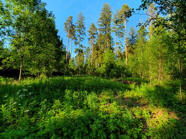 15 соток, участок 9 000 000 ₽ - изображение 88