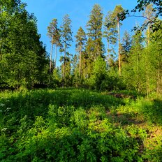 12 соток, участок - изображение 1