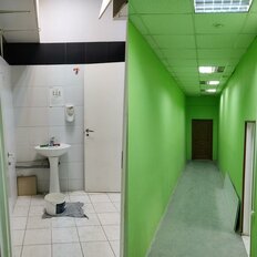 335,5 м², склад - изображение 3