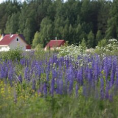 40 соток, участок - изображение 1